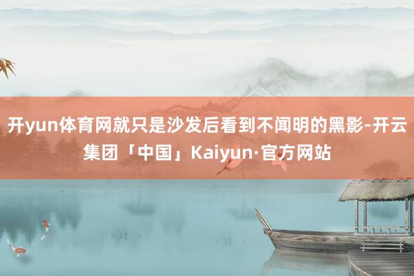 开yun体育网就只是沙发后看到不闻明的黑影-开云集团「中国」Kaiyun·官方网站