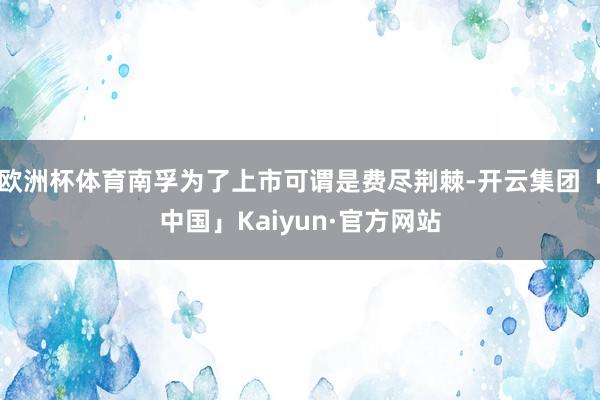 欧洲杯体育南孚为了上市可谓是费尽荆棘-开云集团「中国」Kaiyun·官方网站