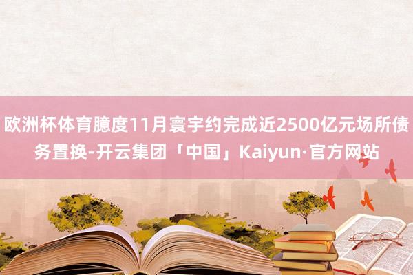 欧洲杯体育臆度11月寰宇约完成近2500亿元场所债务置换-开云集团「中国」Kaiyun·官方网站