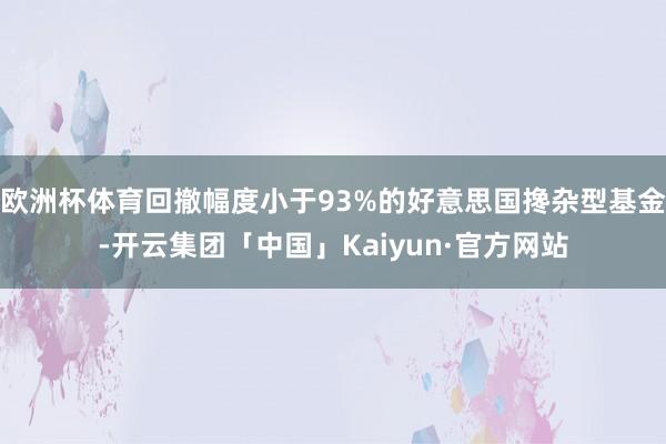 欧洲杯体育回撤幅度小于93%的好意思国搀杂型基金-开云集团「中国」Kaiyun·官方网站