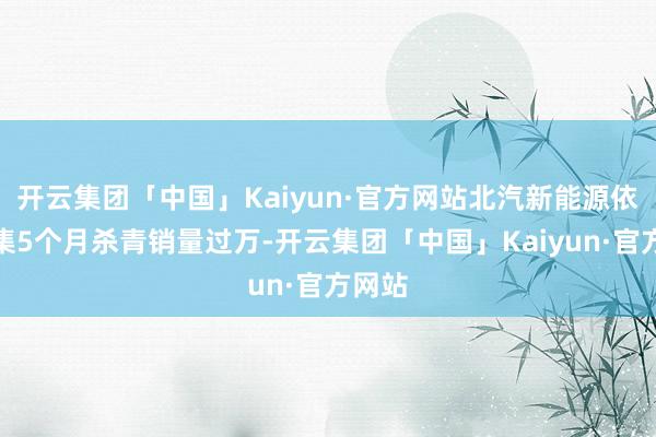 开云集团「中国」Kaiyun·官方网站北汽新能源依然皆集5个月杀青销量过万-开云集团「中国」Kaiyun·官方网站