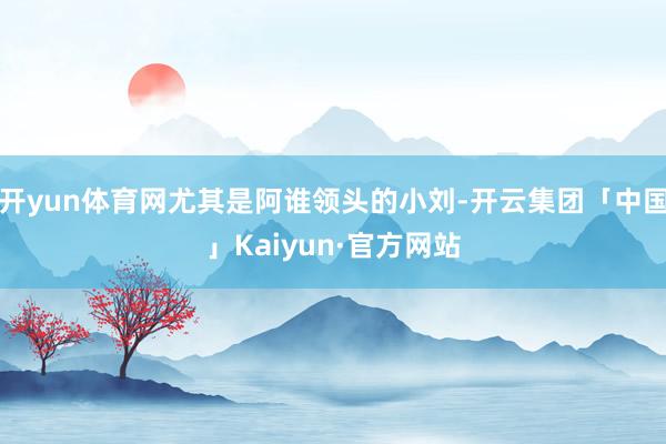 开yun体育网尤其是阿谁领头的小刘-开云集团「中国」Kaiyun·官方网站