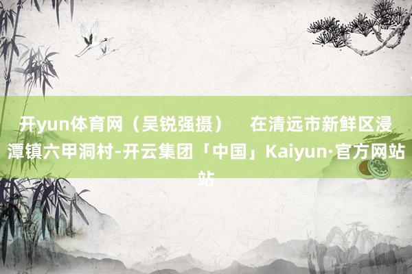 开yun体育网（吴锐强摄）    在清远市新鲜区浸潭镇六甲洞村-开云集团「中国」Kaiyun·官方网站