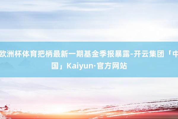 欧洲杯体育把柄最新一期基金季报暴露-开云集团「中国」Kaiyun·官方网站