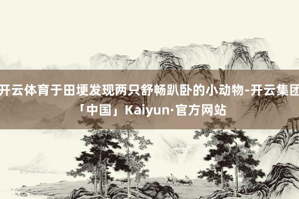 开云体育于田埂发现两只舒畅趴卧的小动物-开云集团「中国」Kaiyun·官方网站