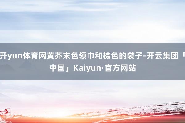 开yun体育网黄芥末色领巾和棕色的袋子-开云集团「中国」Kaiyun·官方网站