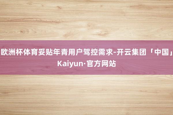 欧洲杯体育妥贴年青用户驾控需求-开云集团「中国」Kaiyun·官方网站
