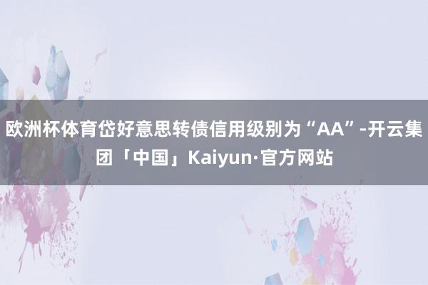欧洲杯体育岱好意思转债信用级别为“AA”-开云集团「中国」Kaiyun·官方网站