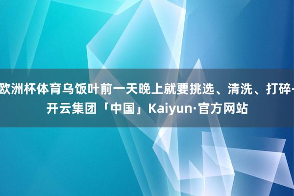 欧洲杯体育乌饭叶前一天晚上就要挑选、清洗、打碎-开云集团「中国」Kaiyun·官方网站