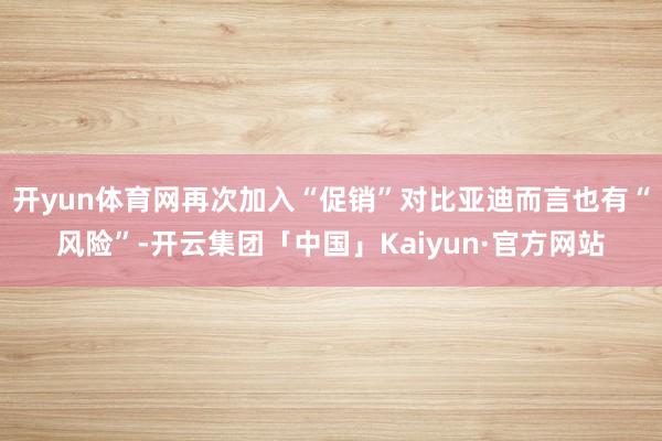 开yun体育网再次加入“促销”对比亚迪而言也有“风险”-开云集团「中国」Kaiyun·官方网站