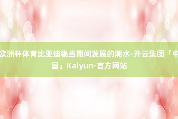 欧洲杯体育比亚迪稳当期间发展的潮水-开云集团「中国」Kaiyun·官方网站
