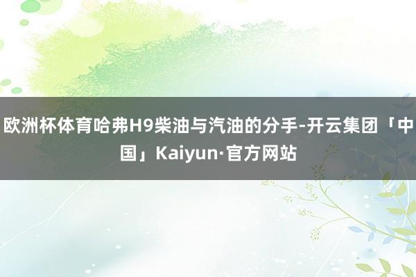 欧洲杯体育哈弗H9柴油与汽油的分手-开云集团「中国」Kaiyun·官方网站