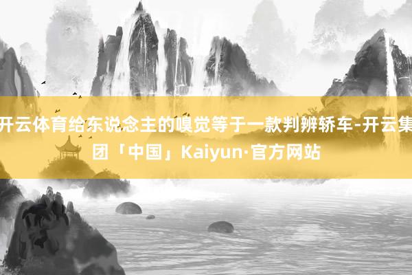 开云体育给东说念主的嗅觉等于一款判辨轿车-开云集团「中国」Kaiyun·官方网站