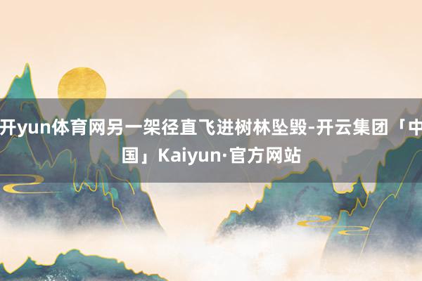 开yun体育网另一架径直飞进树林坠毁-开云集团「中国」Kaiyun·官方网站