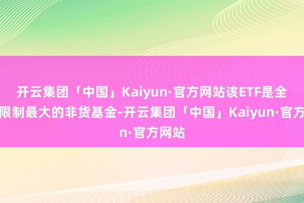 开云集团「中国」Kaiyun·官方网站该ETF是全市集限制最大的非货基金-开云集团「中国」Kaiyun·官方网站