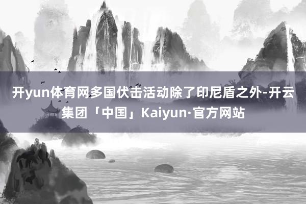 开yun体育网　　多国伏击活动　　除了印尼盾之外-开云集团「中国」Kaiyun·官方网站