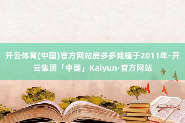 开云体育(中国)官方网站房多多栽植于2011年-开云集团「中国」Kaiyun·官方网站