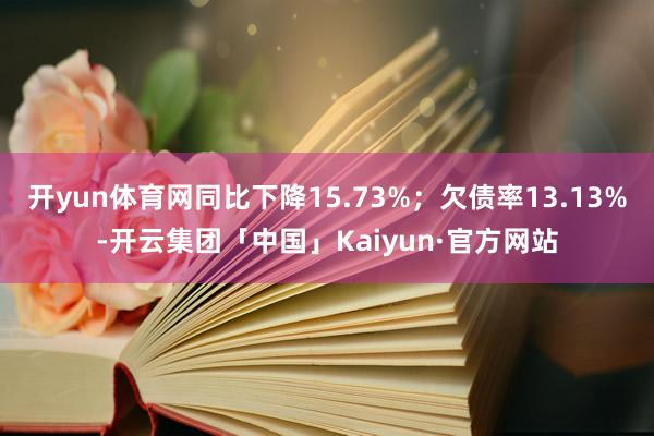 开yun体育网同比下降15.73%;欠债率13.13%-开云集团「中国」Kaiyun·官方网站