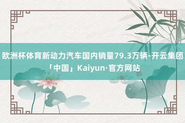 欧洲杯体育新动力汽车国内销量79.3万辆-开云集团「中国」Kaiyun·官方网站