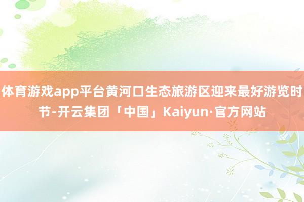 体育游戏app平台黄河口生态旅游区迎来最好游览时节-开云集团「中国」Kaiyun·官方网站