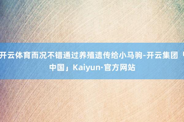 开云体育而况不错通过养殖遗传给小马驹-开云集团「中国」Kaiyun·官方网站