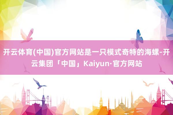 开云体育(中国)官方网站是一只模式奇特的海螺-开云集团「中国」Kaiyun·官方网站