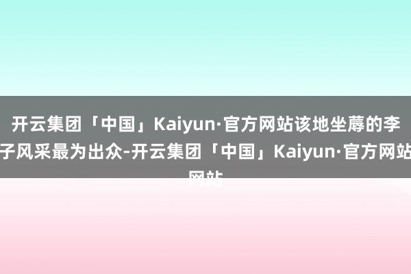 开云集团「中国」Kaiyun·官方网站该地坐蓐的李子风采最为出众-开云集团「中国」Kaiyun·官方网站