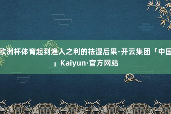 欧洲杯体育起到渔人之利的祛湿后果-开云集团「中国」Kaiyun·官方网站