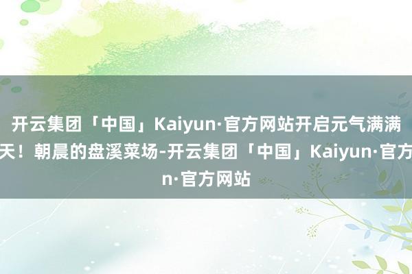 开云集团「中国」Kaiyun·官方网站开启元气满满的一天！朝晨的盘溪菜场-开云集团「中国」Kaiyun·官方网站