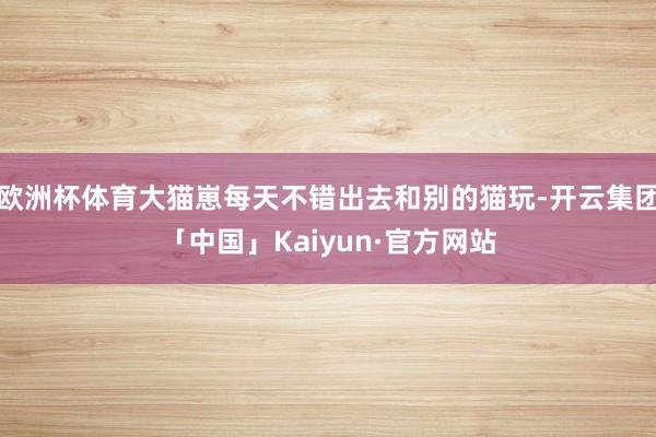 欧洲杯体育大猫崽每天不错出去和别的猫玩-开云集团「中国」Kaiyun·官方网站