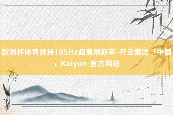 欧洲杯体育扶持185Hz超高刷新率-开云集团「中国」Kaiyun·官方网站